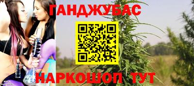 Альфа ПВП Дубна