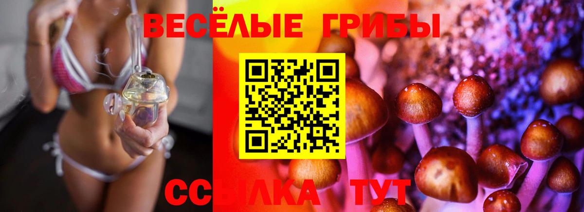 Галлюциногенные грибы Cubensis Лесной